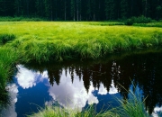 开云平台-当边界消失，毕尔巴鄂的战术幽灵与NBA总决赛的足球魅影