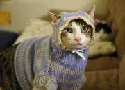 开云体育app-天外陨石降临篮球世界，文班亚马的巨影终结勇士时代