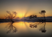 开云官网-末节惊魂，韩国队神奇逆转墨西哥，加维孤胆英雄时刻