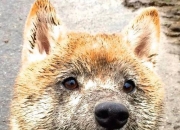 开云-雷霆时代，青年近卫军的宣言与鹰隼的黄昏