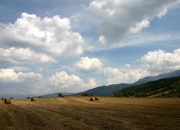 开云体育app-当郁金香淹没千湖之国，论凯恩式关键先生的现代足球寓言