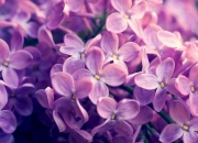 开云体育在线-一人之舞，主宰胜负，詹姆斯如何主导天平向上海倾斜