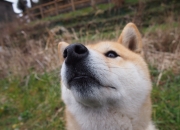 开云体育官网-绿茵双星辉映，莫德里奇魔术惊艳四座，瑞士铁血连胜压制秘鲁