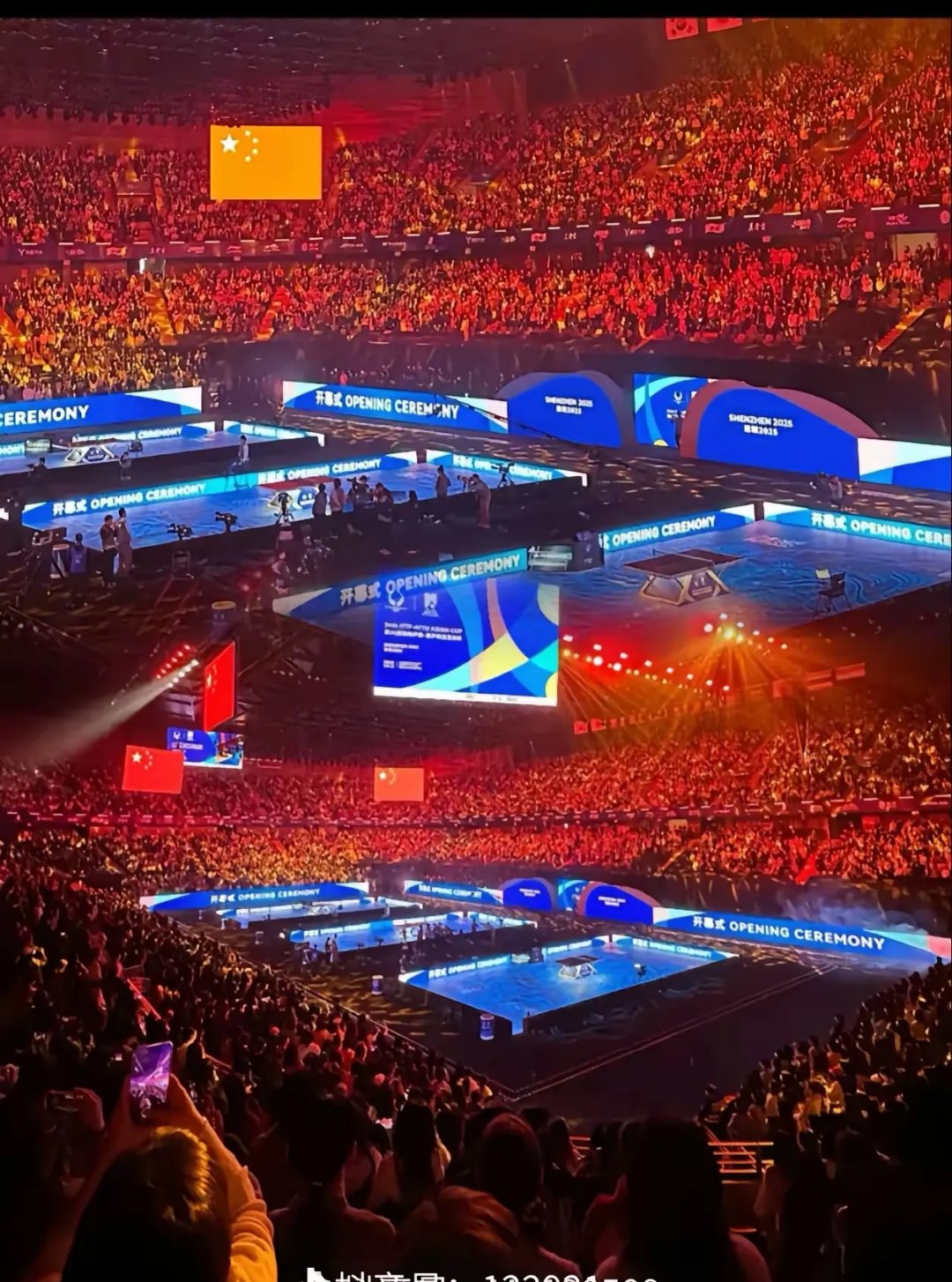 体育场馆沸腾，观众欢呼雀跃