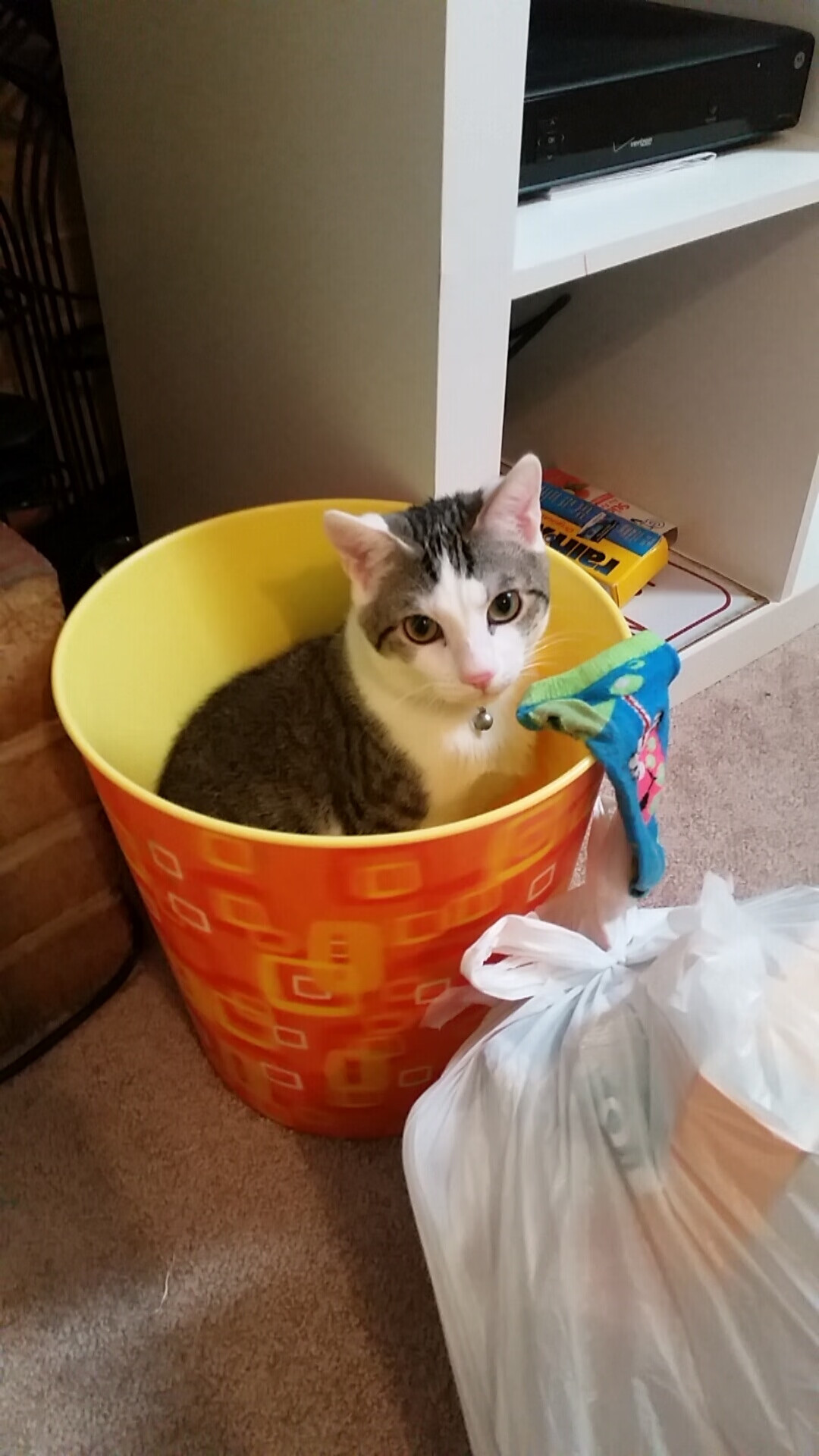 手术刀与镰刀,阿尔瓦雷斯的全局操盘,里昂的冷面终结