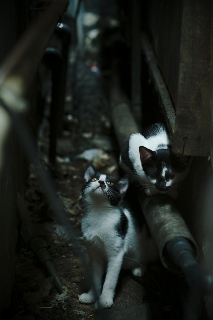 空权纪元，当杜兰特成为篮球世界的制空密钥