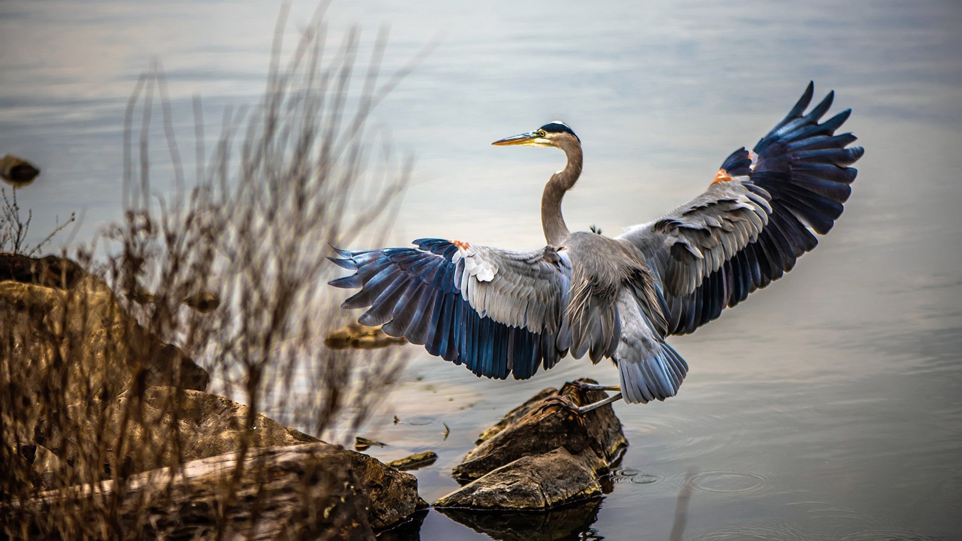 谁拨动了平行时空的秒针，卡拉斯科从天而降的关键制胜
