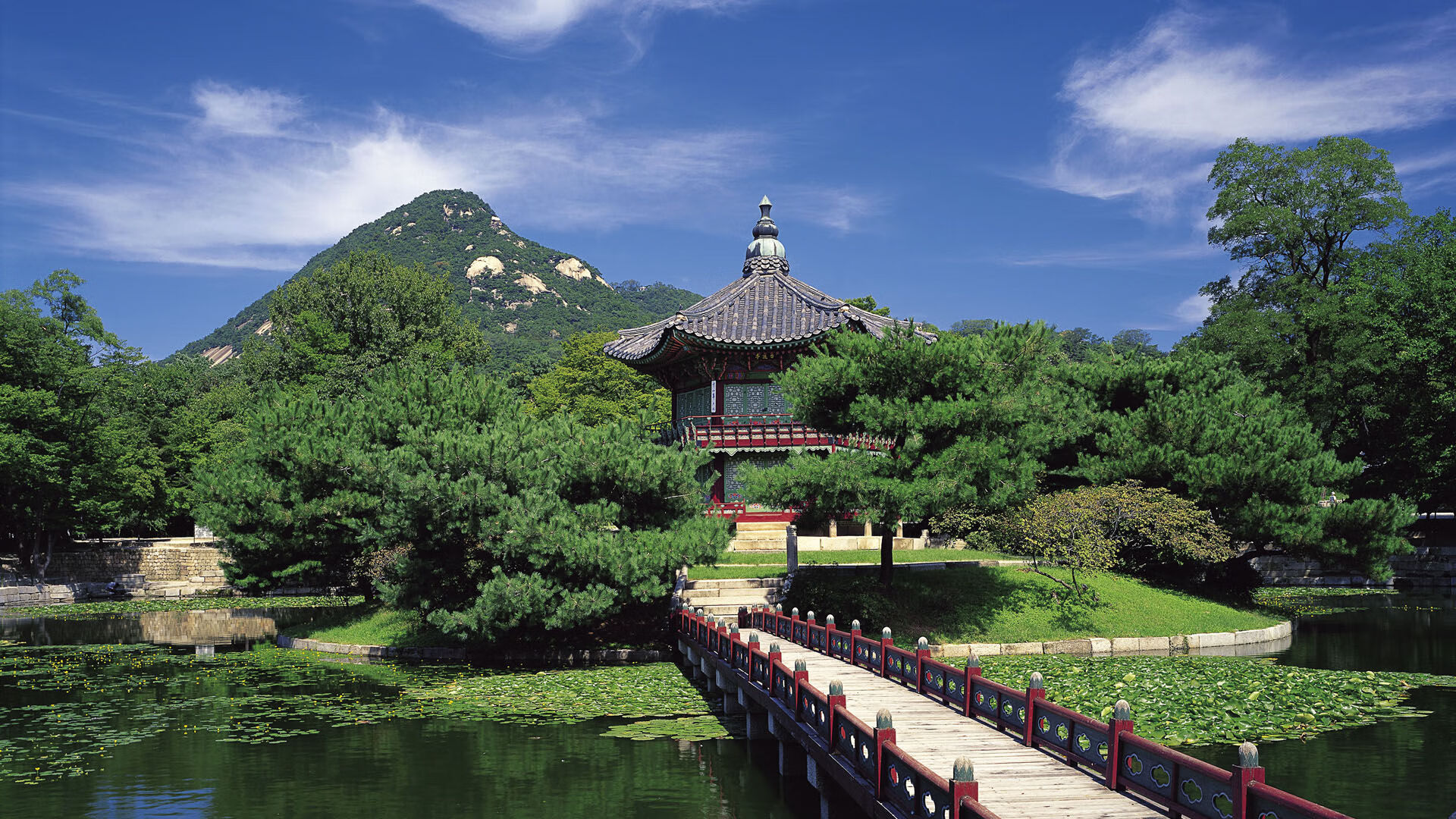 绿茵魔术师，楚阿梅尼一肩担起全队，沙特提前终结阿根廷悬念