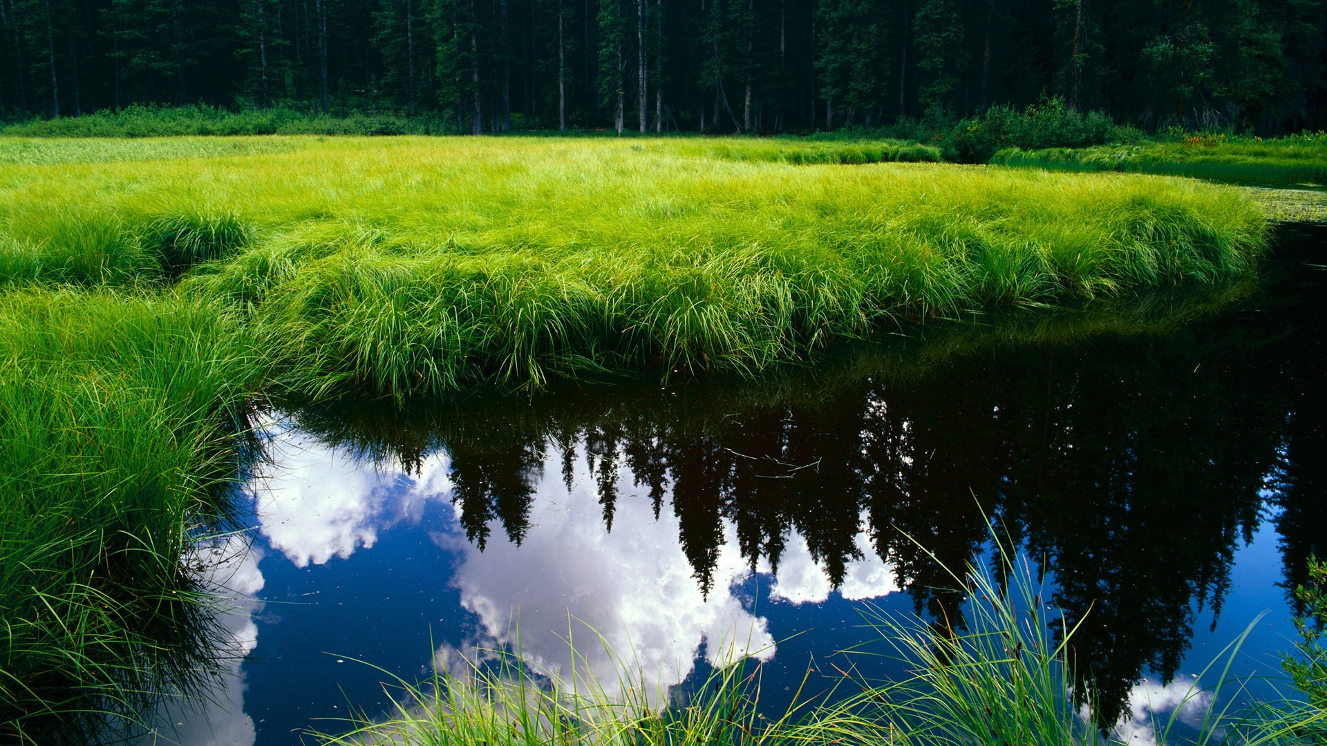 当浙江队成为芝加哥公牛的东决，英格拉姆的跨洋接管