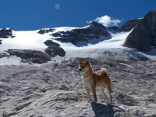 东方破晓，当魔术的团队之光让太阳的巨星光华尽敛