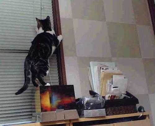 以光为名的阴影，格列兹曼如何在葡萄牙对阵勒沃库森的巨人弑杀战中完成关键制胜？