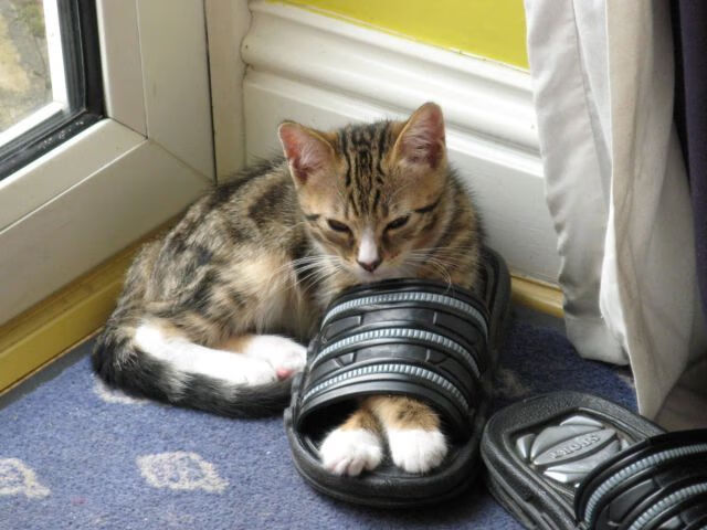 西亚卡姆重剑无锋显真章，火箭精密铁链封锁魔术