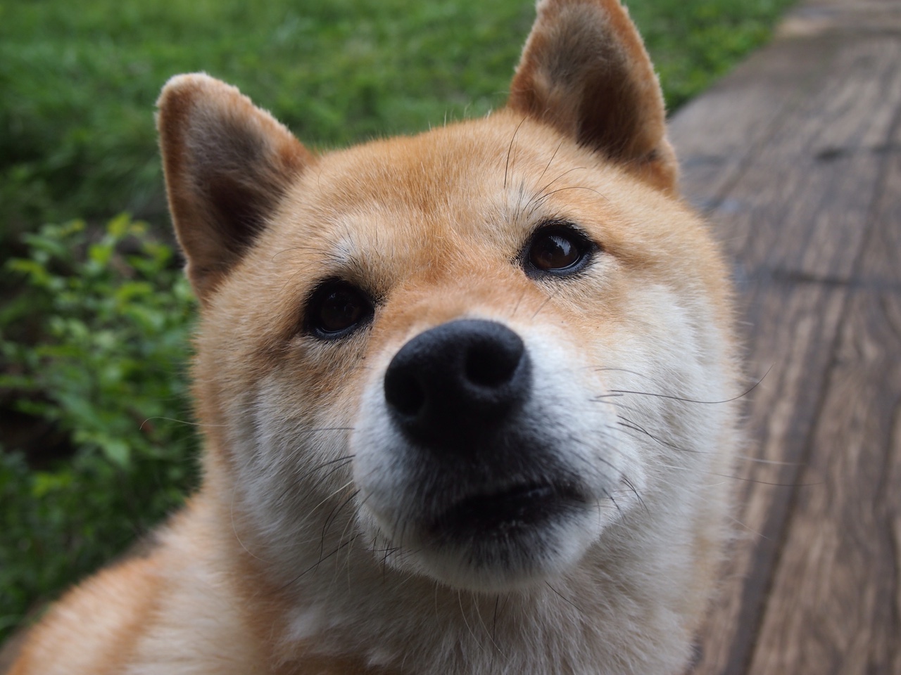 完美节奏，黄喜灿的独家舞步，让牙买加带走了桑巴舞曲