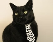 意式惊雷击碎南美高原梦，若日尼奥的德黑兰奇幻夜