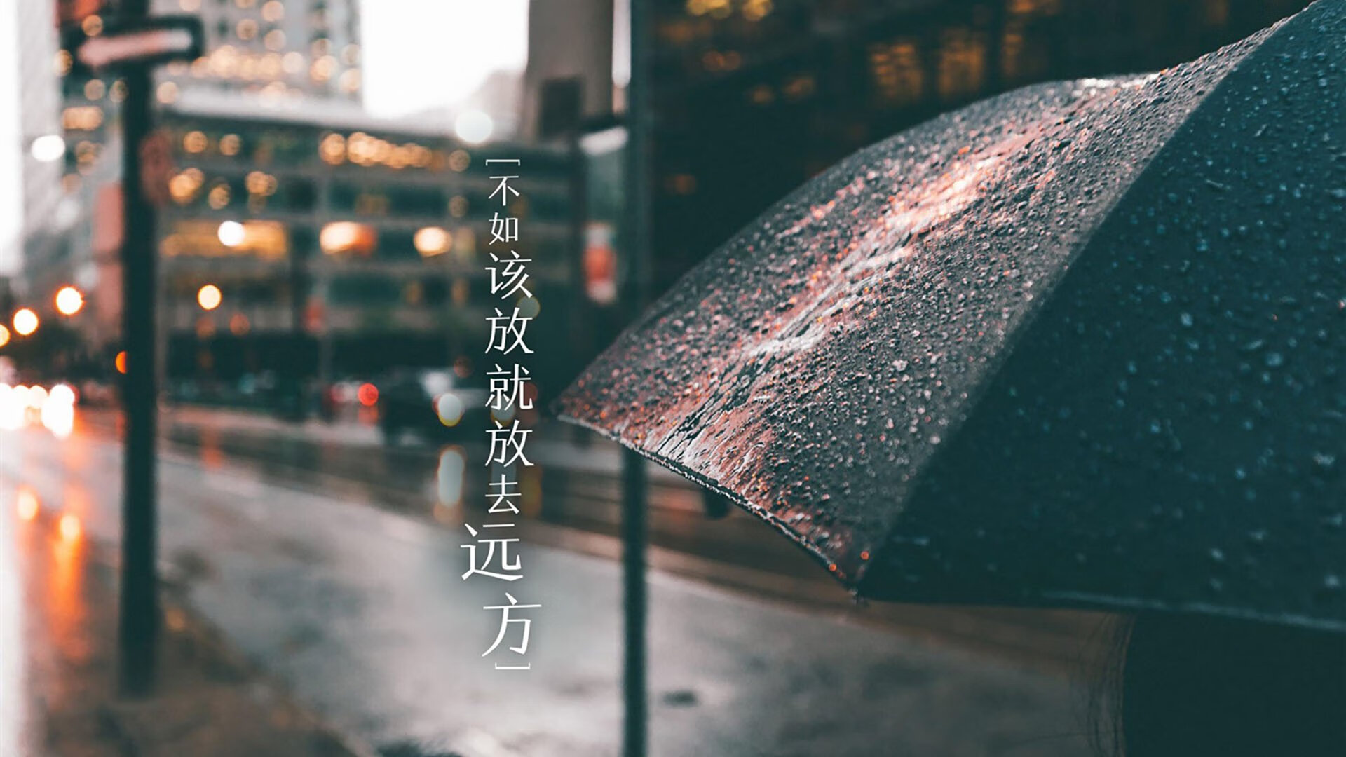 灰熊怒吼压雄鹿,霍勒迪脚踢德甲,一场跨越篮足的神奇同框