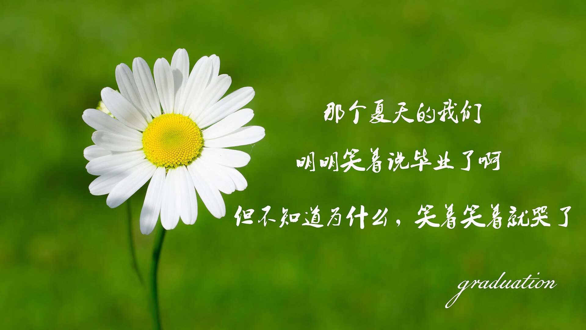沙漠绿洲的救赎,阿方索·戴维斯与替补奇兵联手书写2026世界杯D组唯一剧本